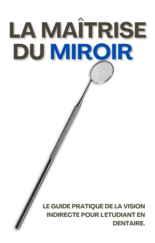 La Maîtrise du miroir version PDF/E-book