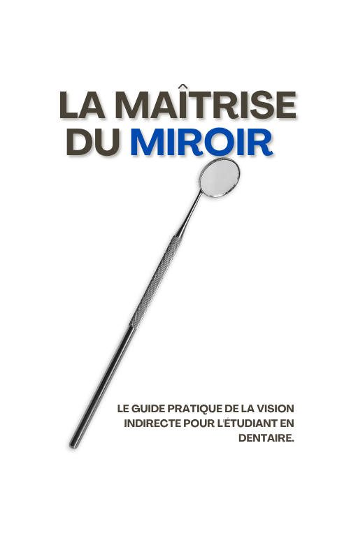 La Maîtrise du miroir version PDF/E-book