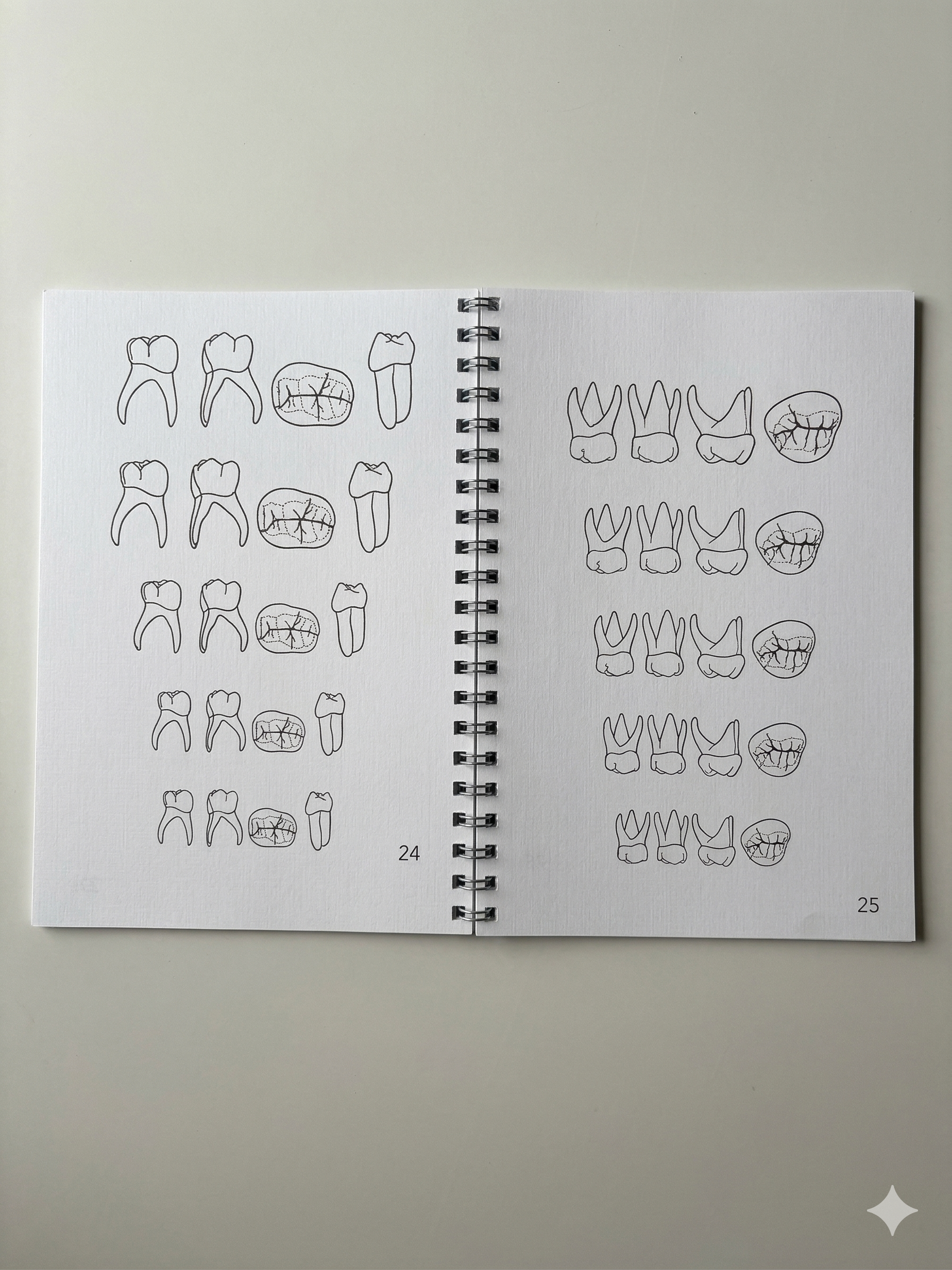 La Maîtrise du miroir version papier